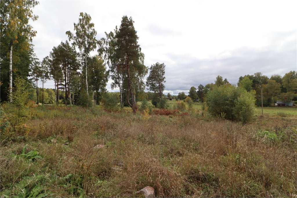 Tomt i Gottröra - Vängsjön, Norrtälje kommun, Sverige, Vängsjöbergsvägen 252